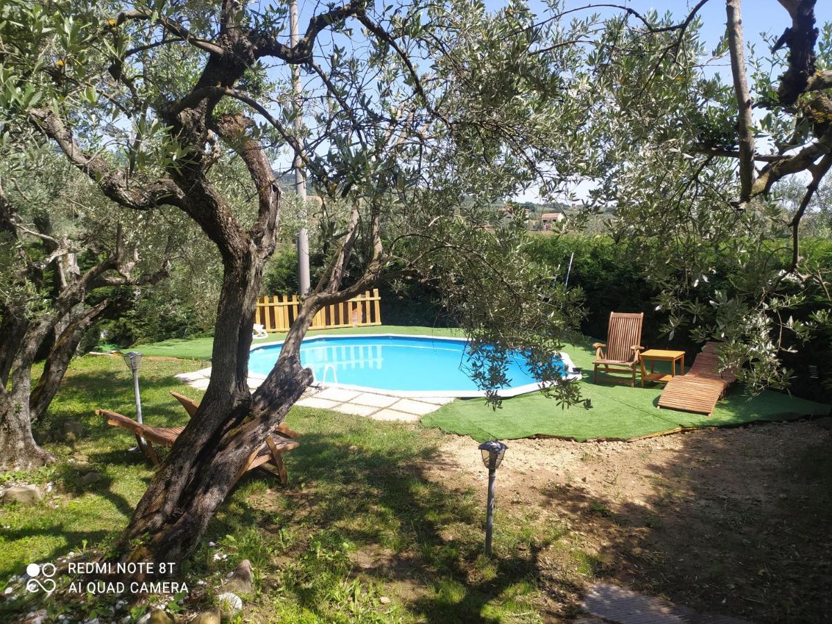 Appartement Il Borgo Dei Pini à Vinci Extérieur photo