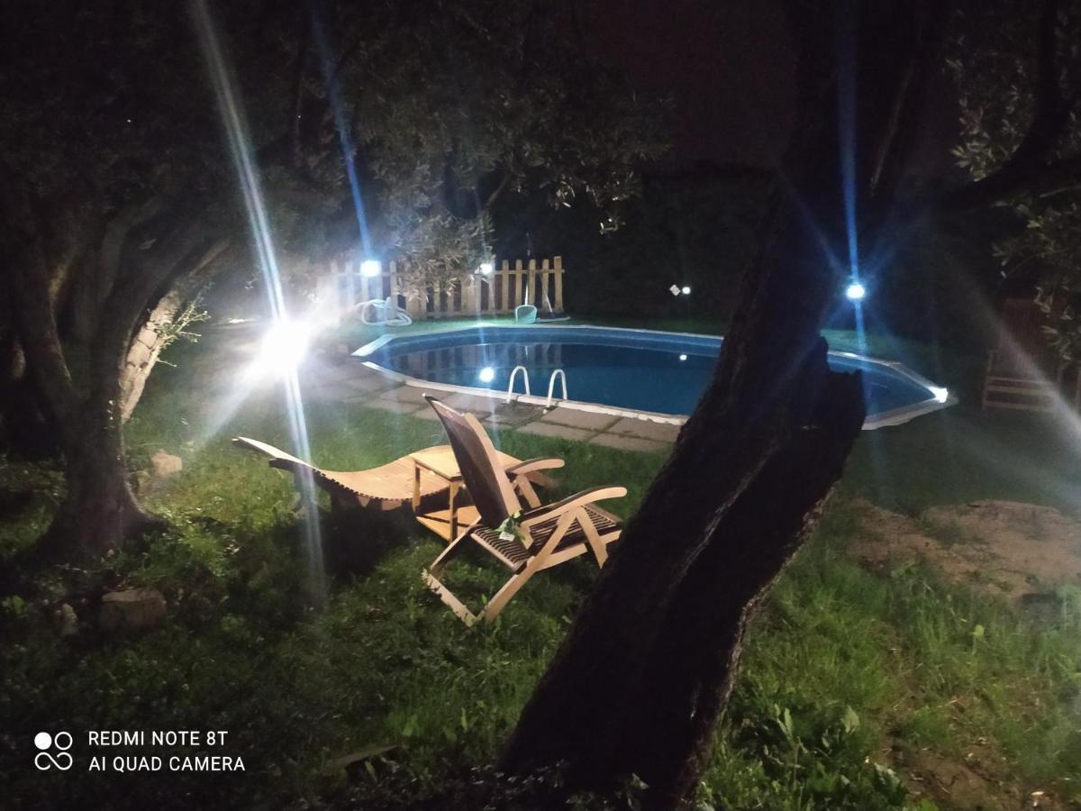 Appartement Il Borgo Dei Pini à Vinci Extérieur photo