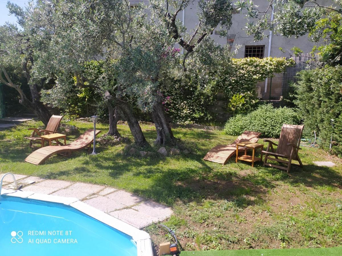 Appartement Il Borgo Dei Pini à Vinci Extérieur photo