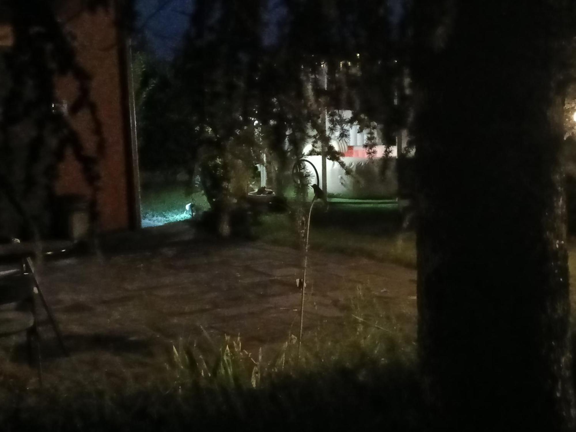 Appartement Il Borgo Dei Pini à Vinci Extérieur photo