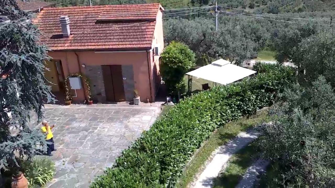 Appartement Il Borgo Dei Pini à Vinci Extérieur photo