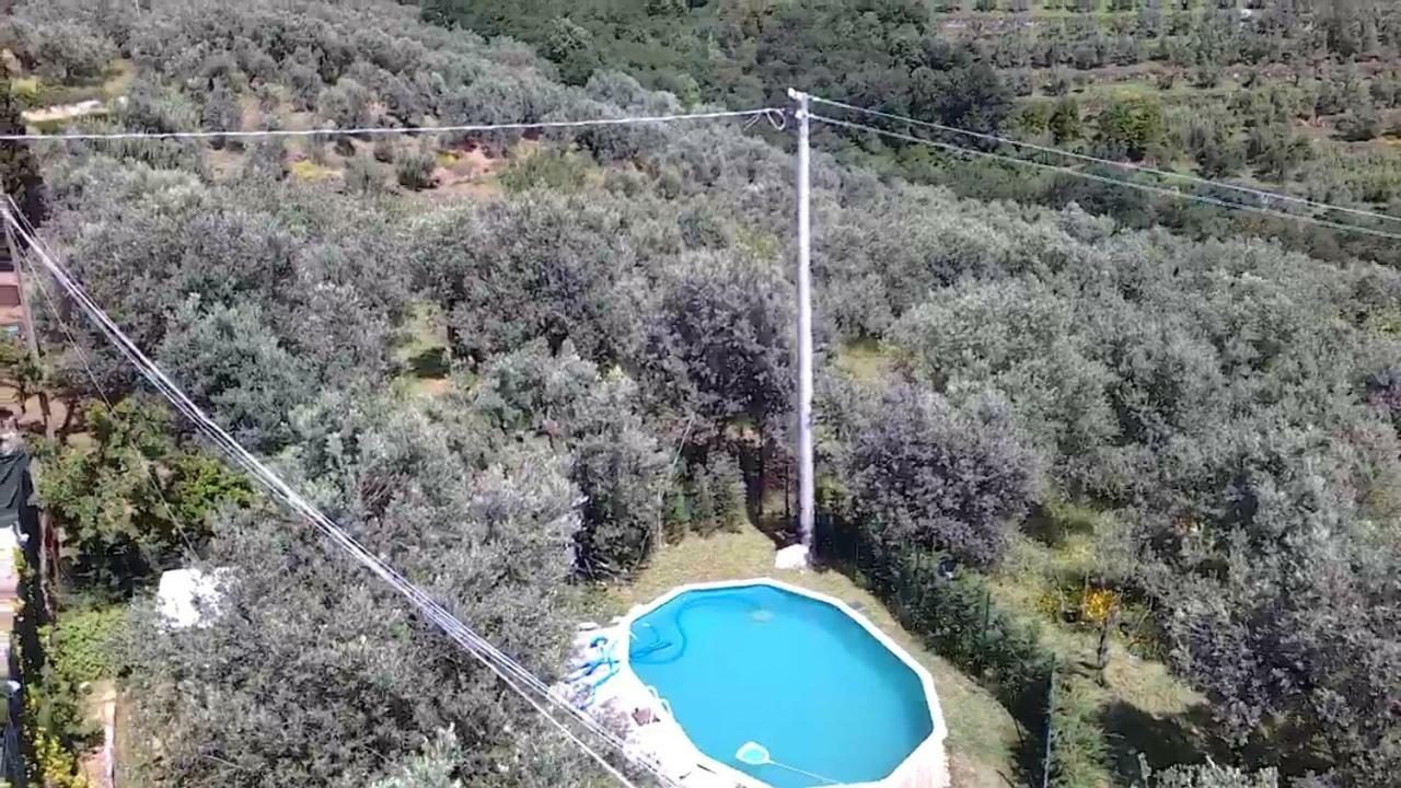 Appartement Il Borgo Dei Pini à Vinci Extérieur photo