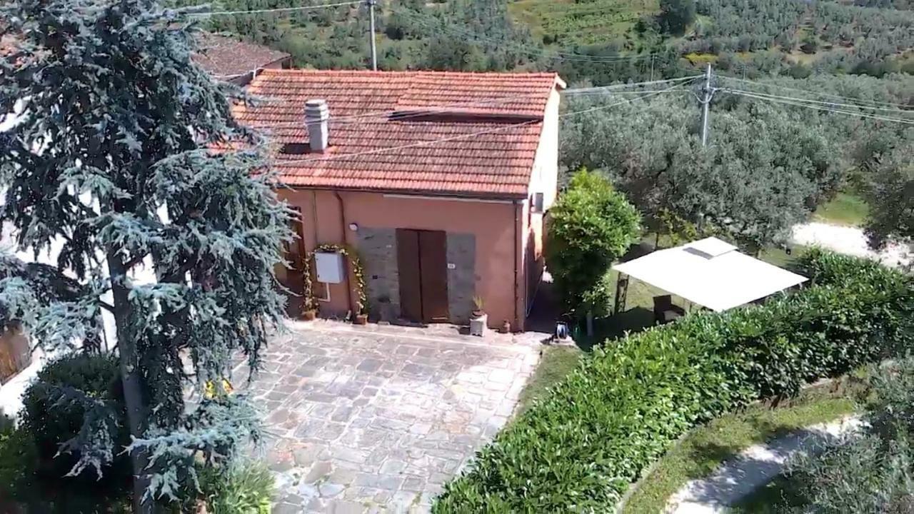 Appartement Il Borgo Dei Pini à Vinci Extérieur photo